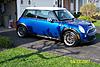 The Hyper Blue Brillance Thread-100_1718b.jpg