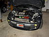 Mouse Issue-pict1559.jpg