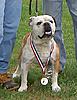 Wheels got jacked!!-sfd-with-award.jpg