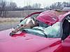 Deer:1, MINI:0-deertruck1.jpg