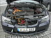 Deer:1, MINI:0-bmw-deer1.jpg