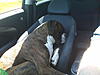 MINI car, biggie dog; the K9 unit.-img00331.jpg