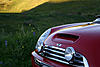Pics Needed: CR/W w/CR Interior Surface-wildflowers2.jpg