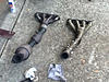 Just installes headers. Had to go in thru the top!-image-3581559439.jpg