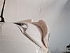 Wing Tip Extension?-image-3306046186.jpg