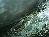 Oil leak-2.jpg