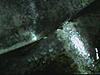 Oil leak-3.jpg