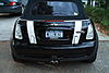 Clear tails on a 'vert-im001528_1.jpg