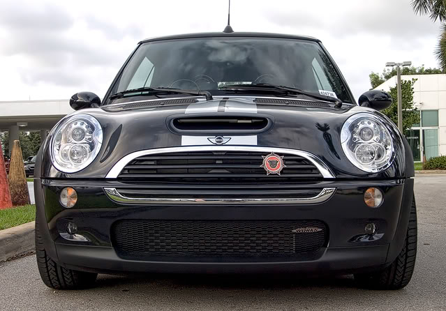 Name:  24of100front.jpg
Views: 1893
Size:  72.8 KB