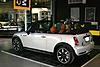 The Official Sidewalk Owners Club-mini_1.jpg