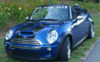 Show us your Ragtop!-mini-in-daylillies.gif