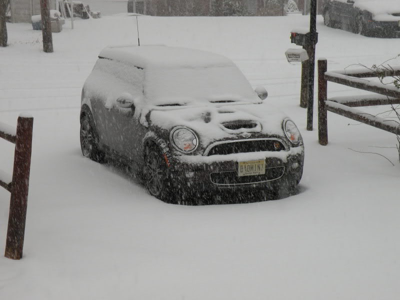 Name:  DSCN3801.jpg
Views: 195
Size:  53.4 KB