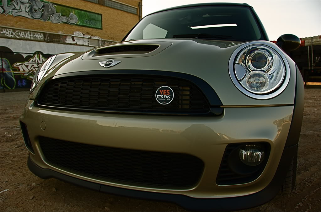 Name:  DSC_3389.jpg
Views: 224
Size:  105.9 KB