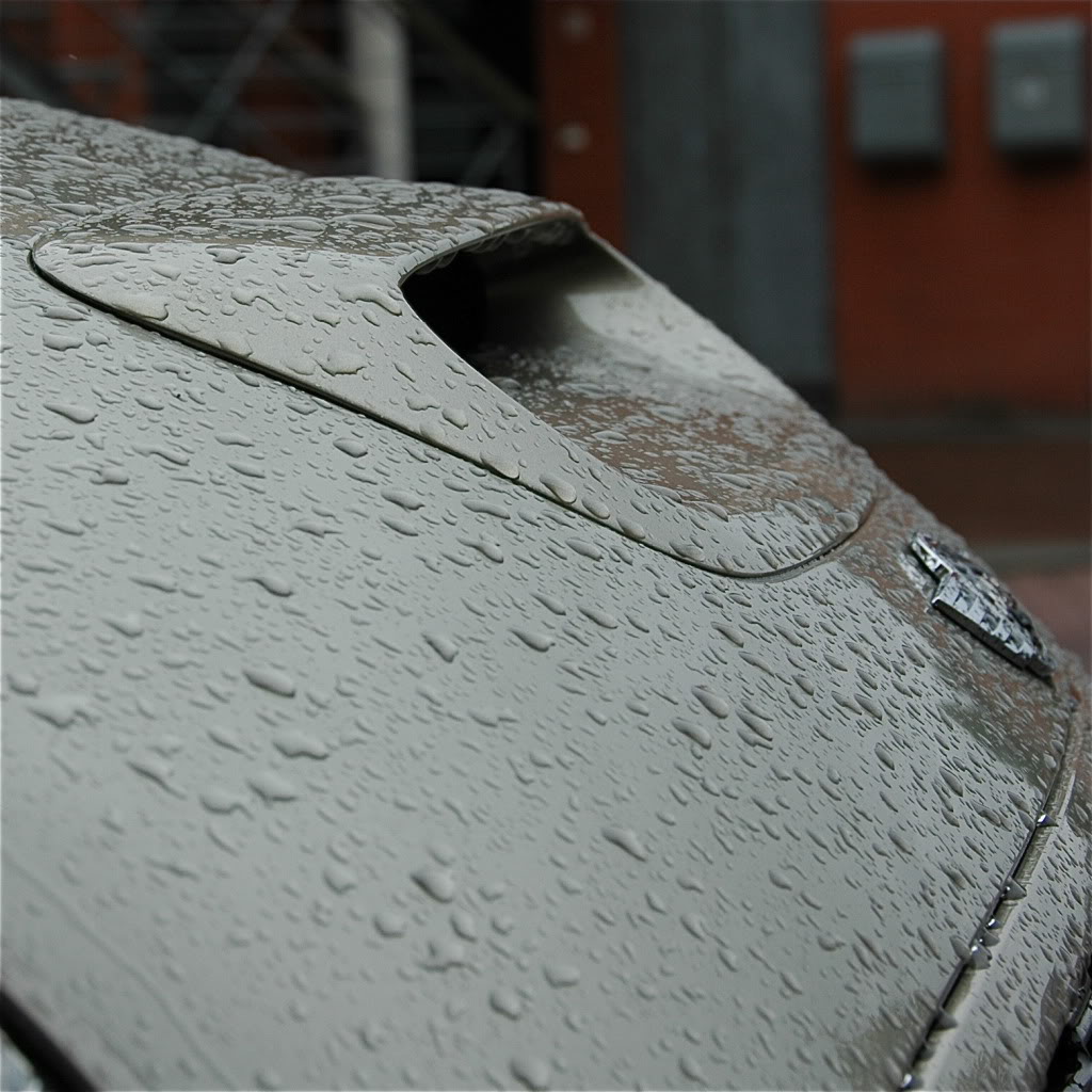 Name:  DSC_5489.jpg
Views: 209
Size:  185.6 KB