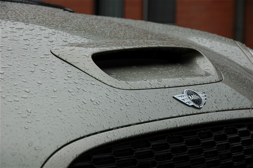 Name:  DSC_5493.jpg
Views: 228
Size:  162.5 KB