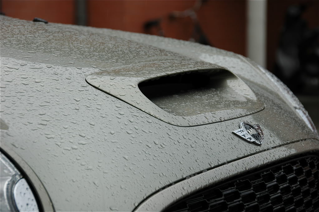 Name:  DSC_5494.jpg
Views: 211
Size:  152.7 KB