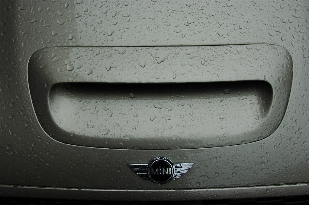 Name:  DSC_5495.jpg
Views: 213
Size:  179.3 KB