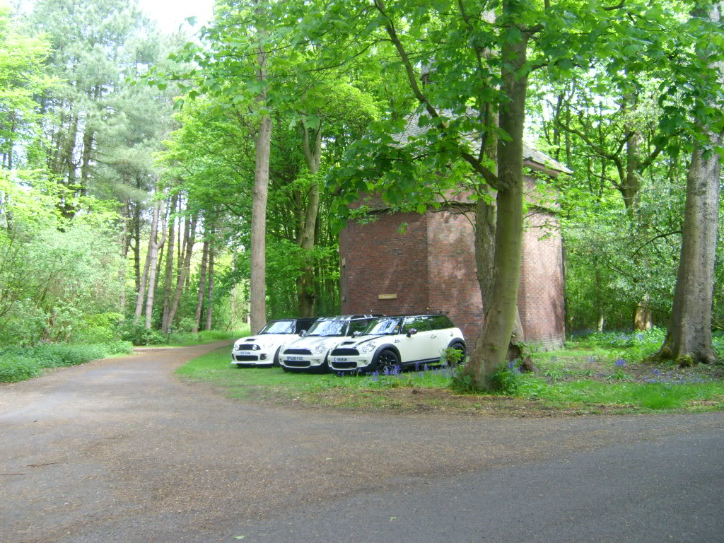 Name:  STP60040-4.jpg
Views: 314
Size:  264.5 KB