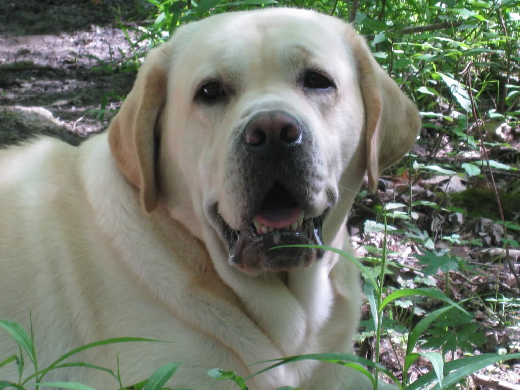 Name:  IMG_2388.jpg
Views: 253
Size:  144.0 KB