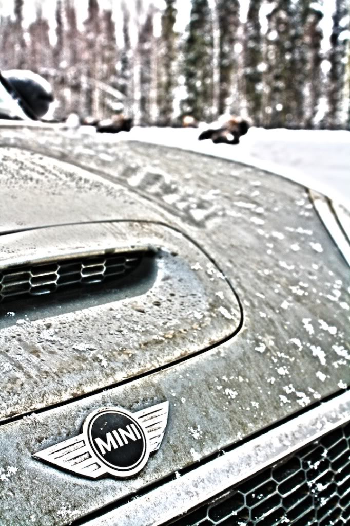 Name: DirtyMini.jpg
Views: 319
Size: 164.5 KB