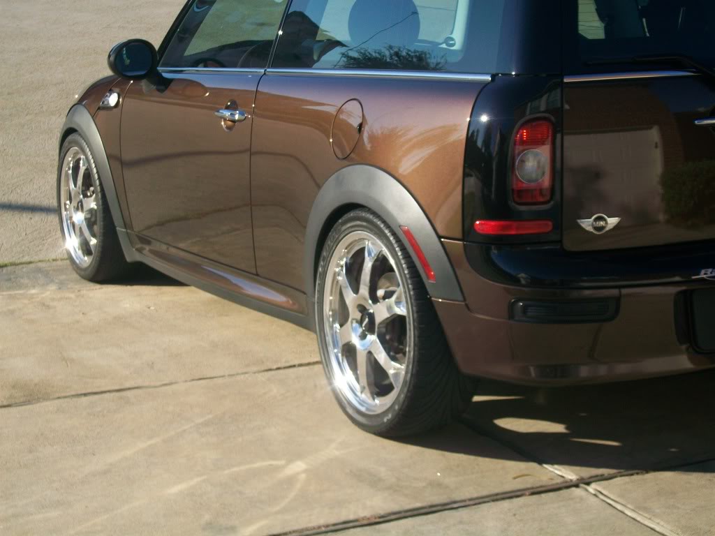 Name:  vetshoot006.jpg
Views: 246
Size:  86.8 KB