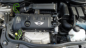 Help ID'ing some chewed wires under the hood....-qo10bel.jpg