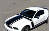 Ever seen stripes AROUND the bonnet?-side-stripes2.jpg