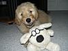 R &amp; R (Rusty and Raven)-cimg4215.jpg