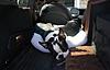 OFFICIAL Show us your Dogs in your Clubman! Pics/stories welcome!-dsc_0006.jpg