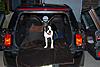 OFFICIAL Show us your Dogs in your Clubman! Pics/stories welcome!-dsc_0234.jpg