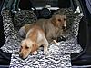 Looking for some owner's reviews on the Clubman-rr2.jpg