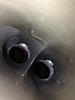 My full engine built will be here.-image-2786299810.jpg