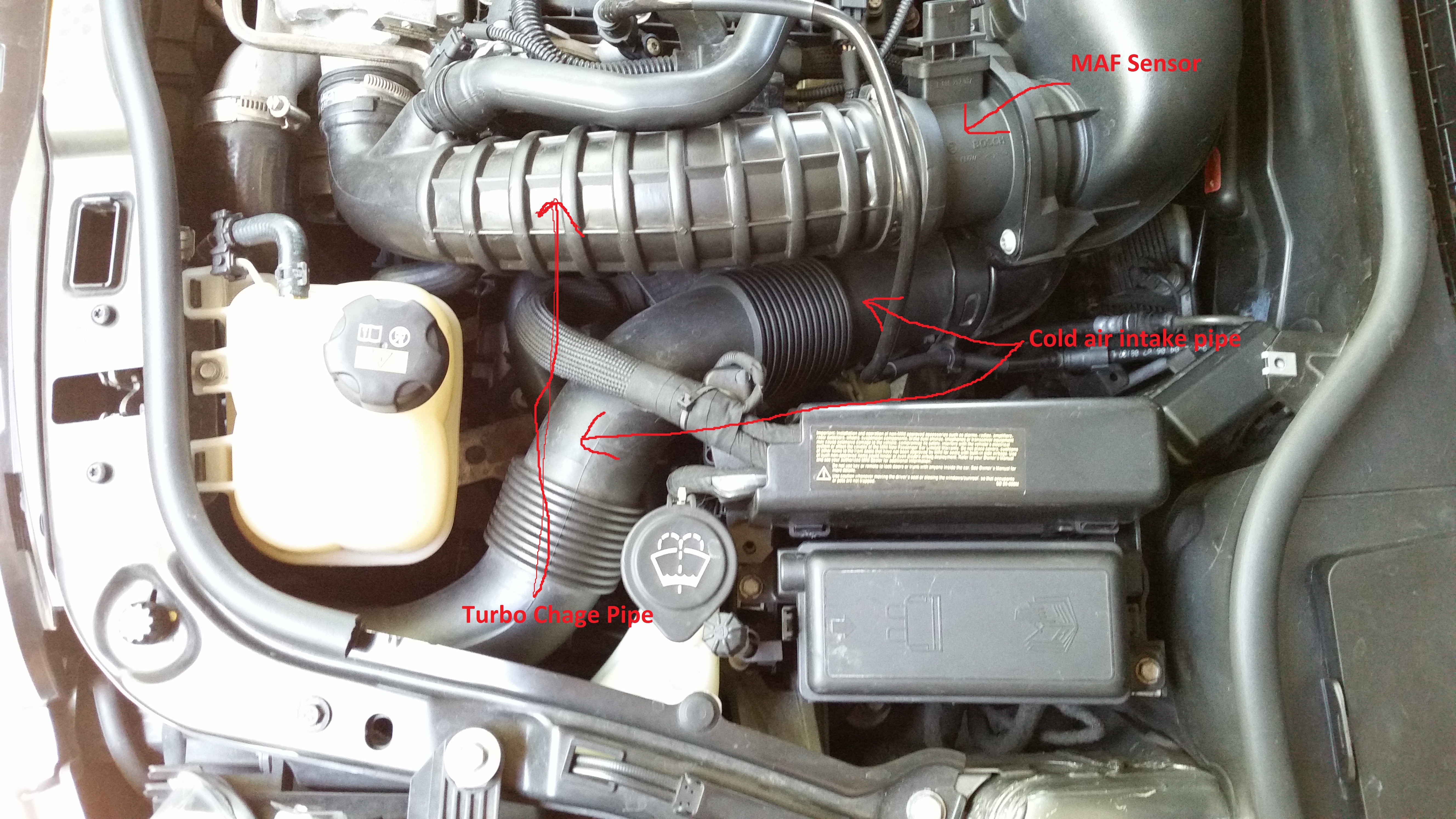 Radiator Coolant Hose-Eng Code W10B16A Lower fits 05-07 Mini Cooper 1.6L-L4