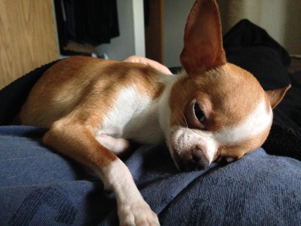 Name:  yoda221_zps0d1bdee9.jpg
Views: 64
Size:  94.3 KB