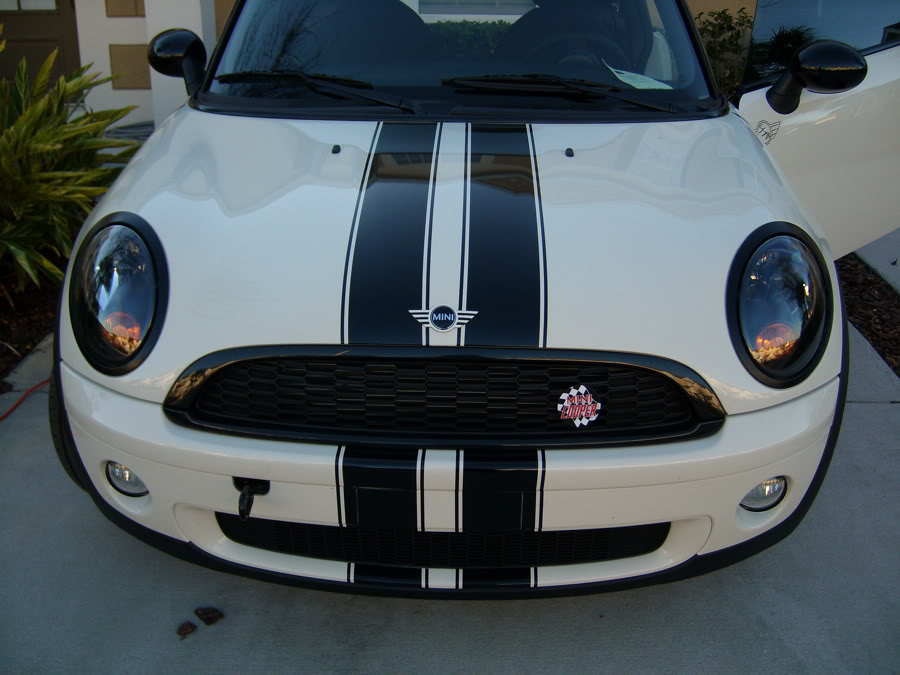 Name:  JoeyMod1.jpg
Views: 242
Size:  117.6 KB
