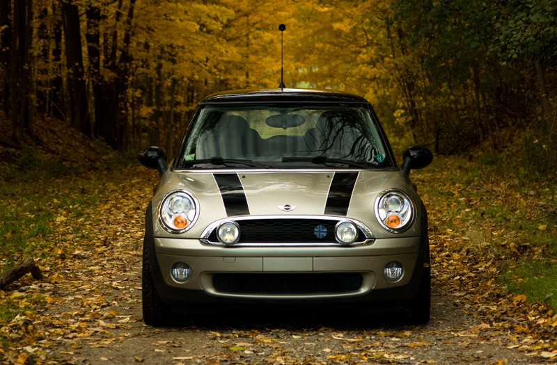Name:  Cooper4.jpg
Views: 187
Size:  115.5 KB