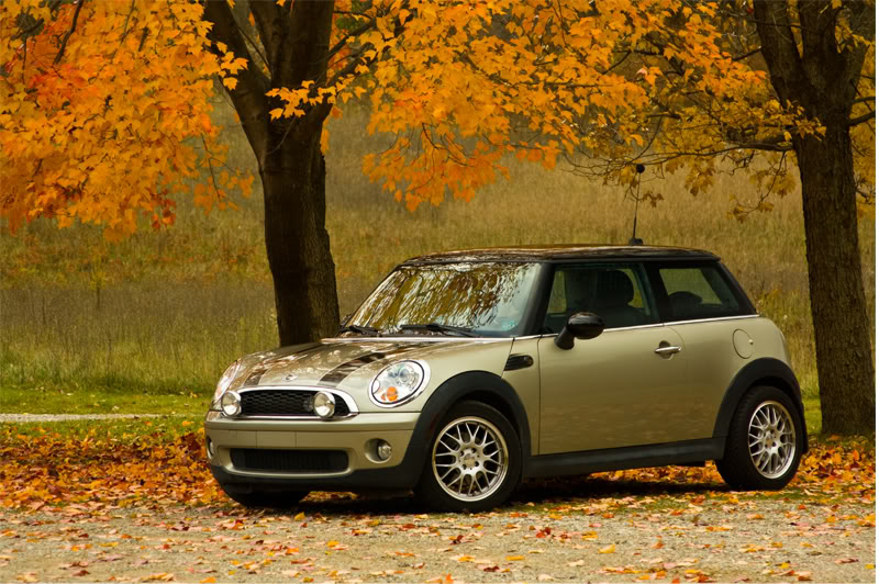 Name:  Cooper6.jpg
Views: 152
Size:  141.7 KB