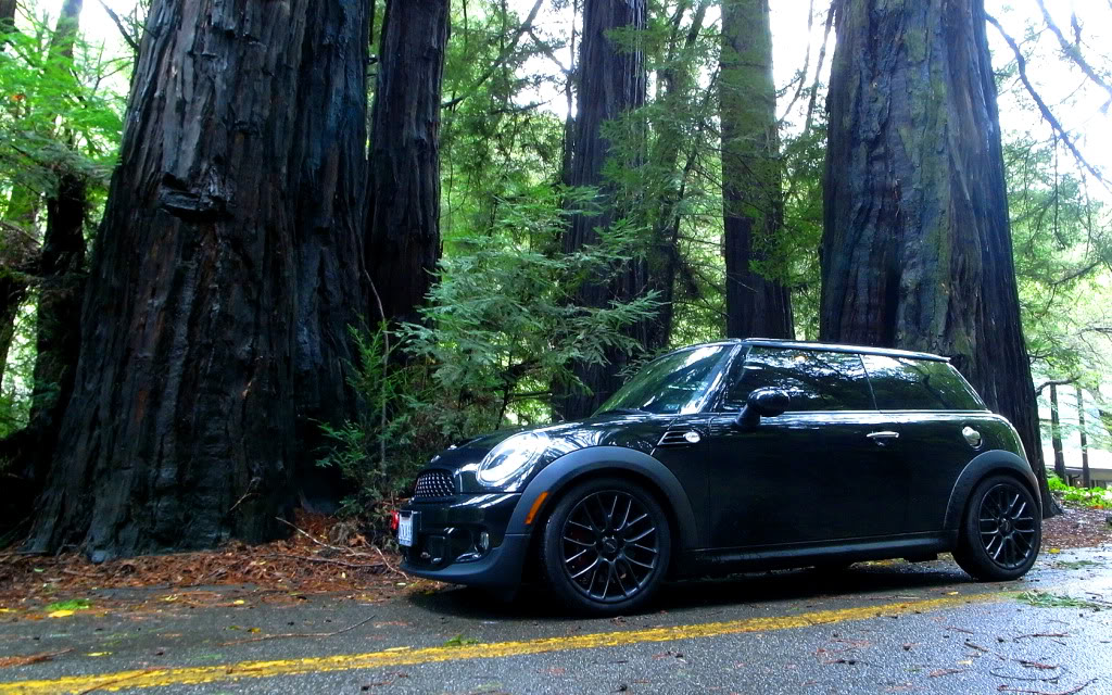 Name:  ninja_redwoods.jpg
Views: 187
Size:  221.1 KB