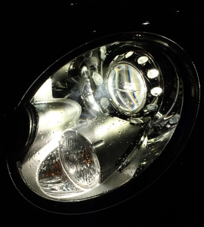Name: newcamerafirstpics197.jpg
Views: 105
Size: 91.8 KB