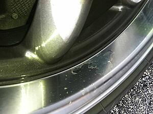 Rota wheel quality???-yfrb0.jpg