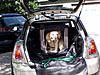 Please post pictures of your R56 here...-p1010041.jpg