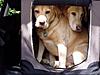 Please post pictures of your R56 here...-p1010040.jpg