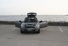 Yay!! He's here!!-img_3311_1.gif