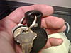 Key FOB MOD!!!!-key1.jpg