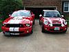 2007's MINI S/Shelby Cobra GT500 photo shoot-dsc01562-large-.jpg