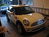 My BABY IS IN CANADA!!!-minigoat_first_pic.jpg