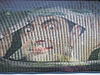 Mr. Bean Window Graphic-dsc06446.jpg