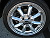 Have you ever seen these?-8545_4.jpg