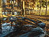 Pic Request -Chili Red, Pepper White, and Dark Silver-dscf0038.jpg