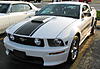 PW with Silver or Gray Stripes???-mustang-2.jpg
